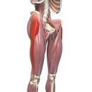 장경한의원 이미지