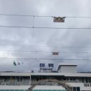 영생목장 | 2024 예수원 방문기록(신화분감자탕, 몽토랑산양목장도 갔다)