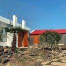 폴개우영 이미지