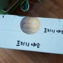 아리엘미문 이미지
