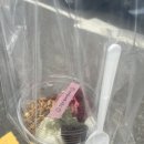 팀메리 이미지