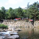 느티나무캠핑장 이미지