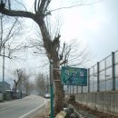 고산사목조석가모니불좌상 이미지