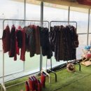 채원농장 | 광주 근교 딸기체험 추천 정읍 "하우스로" 아이 친구들과 다녀온 솔직 후기