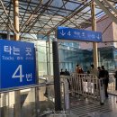 당일치기로 알차게 2만보 걷고 온 대전여행코스 알려드림