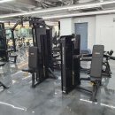 윌 휘트니스 이미지