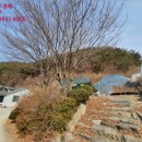 골말천 이미지