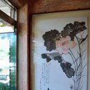 오아시스가든 이미지