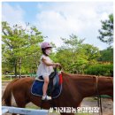 창수면사무소 화장실 | 가래골농원캠핑장 D구역 / 노스피크 옐로우스톤 하이브리드와 함께 / 승마체험 캠핑장