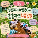 안산 아이랑 갈만한 곳ㅣ솔솔자연농원 부모분리수업 후기