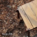 수우드 이미지