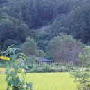 (주)덕해 이미지