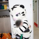 신화합기도 이미지