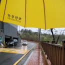 차이나면사무소 이미지