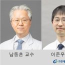 팀고도 이미지