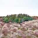 (주)제주케이여행사 이미지