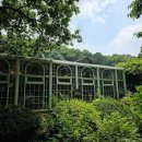 맘스터치 연지점 | 푱푱하다 푱푱한 푱푱하다 푱푱한