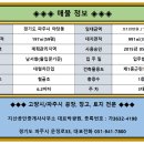 야당과선교 앞 이미지