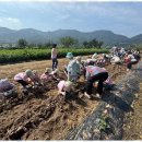 숲속늘푸른어린이집 이미지