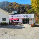 단양식당 네이버블로그