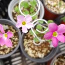 시랑 초등학교 이미지