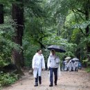 아리바우길 이미지