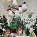 경기도 파주 애견동반 카페 - 넓은 천연잔디 강아지 운동장이 있는 애견카페 “글램독 그라운드 파주점”