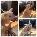 신월8길 이미지