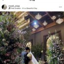 로젤리스냅 이미지