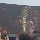 낙지아줌마 이미지