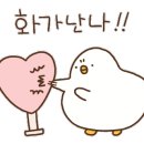 스테이이플 이미지
