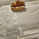 인계동 362 | 인계동카페 체리커피 나혜석거리카페 수원디저트맛집