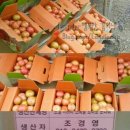 아영농장 이미지