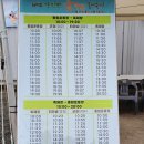 제9회 강진만 춤추는 갈대 축제 다녀온 후기