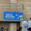 상민목장 | 2025 수원 메가쇼 후기 팔도밥상페어까지 알차게 구경했어요!