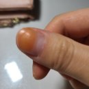 오늘의 실험왕 이미지