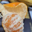 스위트안경원 이미지