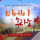 흰그림자투어 주식회사 네이버블로그