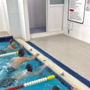 하비엘럭스 이미지