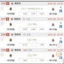 에버픽 - 강서구 | 에버픽