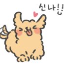 김상연 타이어연구소 이미지