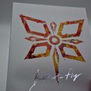 전영호 | 텀블벅 펀딩 전영호 디지몬 어드벤처 버터플라이&amp;브레이브 하트 CD 앨범 패키지 리뷰