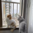카카오테크 부트캠프 | 2기 풀스택 중간후기 | ☺️ 풀스택 개발자 Dia의 현실기록: &#34;후회는 없다&#34;