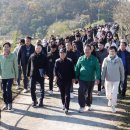 우포늪생명길 이미지