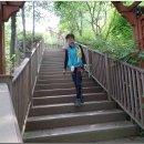 은판나비화장실 이미지