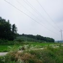 율곡천 4 이미지