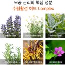 모공관리 스킨 토너추천, 치노시오야 내추럴 허브 로션 사용후기