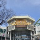 요셉의집 | 강화풍물시장 맛집 요셉이네집, 밴댕이비빔밥과 칼국수 내돈내산(남친돈산) 후기