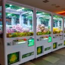 인형뽑기방 이미지