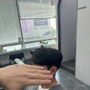 780181 이미지